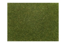 noch-08364-4mm-medium-green-scatter-grass-20g