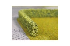 noch-21512-light-green-hedge-ho-oo-tt-n