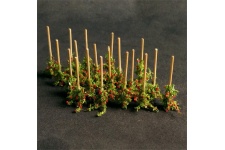 staked-tomato-plants-800x800