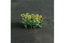 sunflowers-800x800