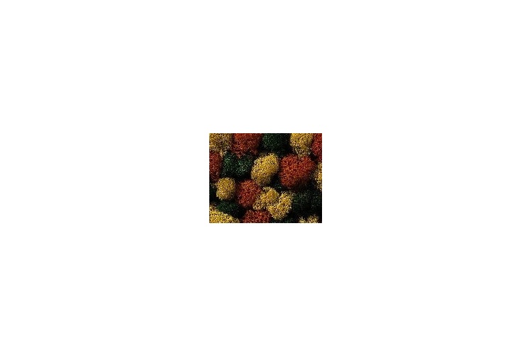 noch-08620-autumn-mix-lichen-75g