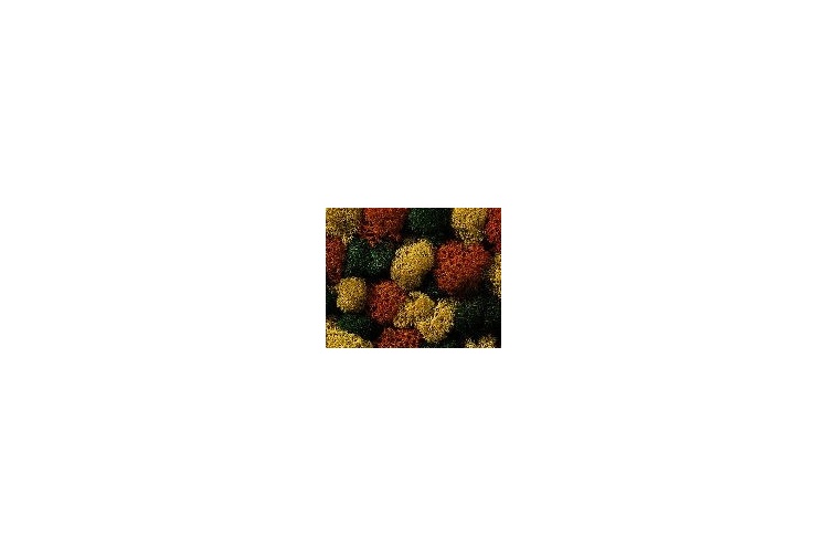 noch-08630-autumn-mix-lichen