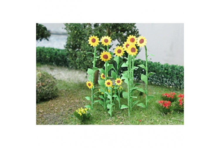 sunflowers-1-800x800-800x800