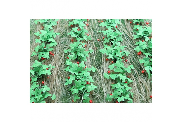 tasma-00685-strawberry-plants