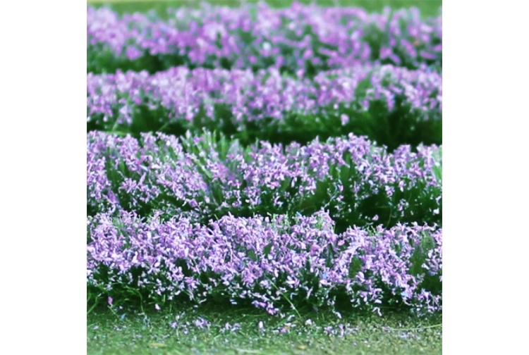 tasma-00712-lavender-field