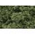 Woodland Scenics FC57 Light Green Foliage Clusters