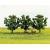 Gaugemaster GM182 Fruit Trees (Pack of 3)