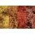 Woodland Scenics WL165 Autumn Mix Lichen
