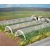 Busch 1399 Plastic Polytunnels 200mm