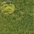 Busch 3541 Model Railway Scenery 4mm Spring Tufts Of Weeds