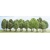 Busch 6587 Model Railway Scenery 25 Deciduous Trees